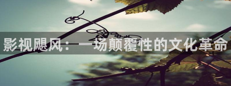 桃花影院com视频