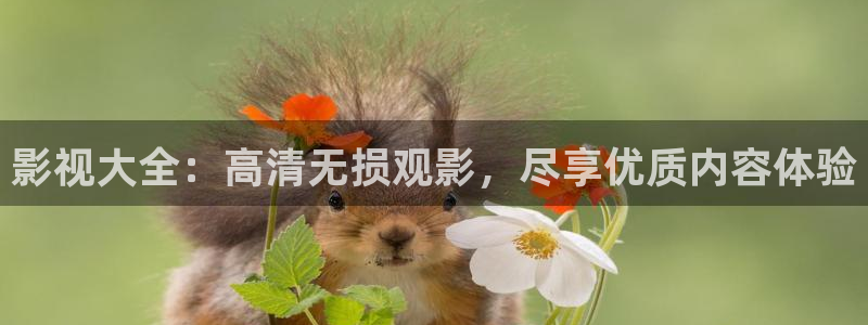 色七七影院桃花